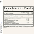 Codeage Daily Synbiotic Supplement - Prebiotics, Lactobacillus & Bifidobacterium Probiotics, L-Glutamine, Zinc L-Carnosine, DGL, Synbiotic Probiotic, BioPerine - Shelf-Stable - 30 Capsules