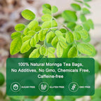 Moringa Tea Bags | 100% Pure Moringa Leaf Tea | Antioxidant-Rich, Caffeine-Free Herbal Tea | Supports Immunity, Energy & Digestion, 40 Count | Gluten-Free, Non-GMO