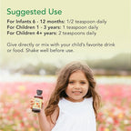 CHILDLIFE ESSENTIALS Liquid Zinc Plus for Kids & Toddler - Liquid Supplement Drops, Zinc Gluconate & Copper for Immune Support - Mango Strawberry, 4 Fl Oz (Pack of 1)