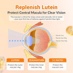 2 Packs Lutein and Zeaxanthin Gummies Supplements Support Eye Health, 9 in 1 with 8mg Lutein & 1.6mg Zeaxanthin, Eye Support | Non-GMO, Vegan | Sweet Orange Flavor | 120 Gummies