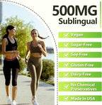 Sublingual NMNH 500mg (480-Day Supply, 500mg per Serving) NMNH(Dihydronicotinamide Mononucleotide)，NAD Supplement for NAD Levels as We Age, for Anti-Aging, Energy, Immunity, Focus - 480 Count