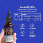Grama Wellness Zzzzz Organic Sleep Aid Tincture – Non Habit Forming Nighttime Drops for Adults, Fast-Acting Liquid Sleep Aid for Deep Rest, Calm & Relaxation – Alcohol-Free, 1 fl oz