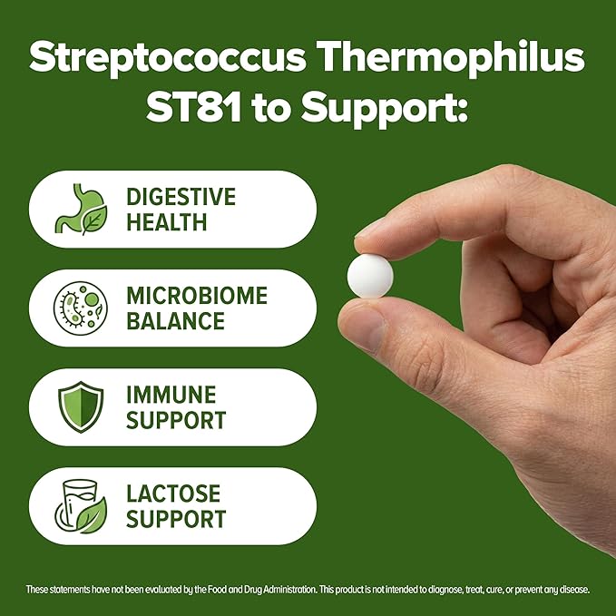 Streptococcus Thermophilus Probiotic 240 Tablets (4 Month Supply) – Researched Strain ST81 – 3 Billion CFU – Digestive Health & Lactose Support – GMP Certified (240, Streptococcus Thermophilus)