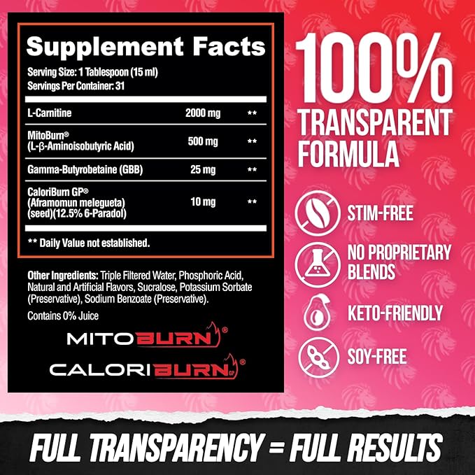 ALPHA LION Burn2O L-Carnitine Liquid 2000mg, Premium Liquid Fat Burner & Pre-Workout Supplement for Men & Women - Natural Energy & Metabolism Booster for Weight Loss - ShredBerry