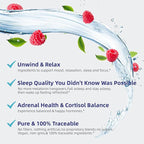 VivoNu Calm & Sleep Powdered Drink Mix Raspberry L Theanine Ksm-66 Ashwagandha Magnesium Glycinate Vitamin D 3 Supplements for Relaxation & Focus No Sugar Non GMO