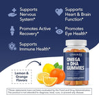 Omega 3 6 9 + DHA Gummies for Adults - Plant-Based Fish Oil Alternative with Chia Seed Oil and Algae - Support Brain and Immune Function - Lemon and Orange Flavors - Vegetarian Friendly - 60 Count