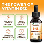 B-12 Vitamin Energy Drops (Methylcobalamin) Extra Strength Super B Complex - Sublingual B12 Liquid for Immune Support, Heart Health & Cellular Energy Support, Raspberry Flavored - 2 Fl Oz