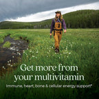 New Chapter Women’s Multivitamin 55+, Astaxanthin, B6, B12, D3, Vitamin C & Zinc, Immune, Heart, Cellular Energy, and Bone Support, Gentle on The Stomach, One Daily, Non-GMO, Gluten-Free, 72 Tablets