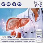 Nutrasal PhosChol PPC Polyenyl PhosphatidylCholine Choline Supplement 900mg 300 Gelatin Capsules