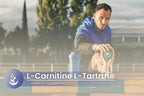 Pure Original Ingredients L-Carnitine L-Tartrate (100 Capsules) Always Pure, No Additives Or Fillers, Lab Verified