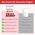 Astaxanthin 12mg, 120 Softgels, 4 Month Supply | Premium Astaxanthin Antioxidant Supplements | Fresh Microalgae Source | Supports Eye, Joint, Internal Circulation, Skin Health