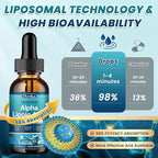 Liposomal Alpha Lipoic Acid Liquid Drops 600mg - Neuropathy Supplements Liquid for Nerve, Energy & Metabolic Support with Benfotiamine, Turmeric, Selenium & C, E & B12, Strawberry 2 Fl Oz