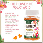 Prenatal Vitamins for Women – Complete Pregnancy Multivitamin - Folic Acid, Omega 3 DHA, Choline, Vitamin D – Essential Support for Mom's & Baby Brain Development - Tasty Orange Flavor - 60 Gummies