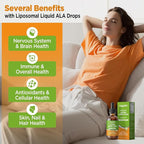 Liposomal Liquid Alpha Lipoic Acid drops, 600 MG R-Alpha Lipoic Acid Supplement with Biotin & Multivitamins, ALA for Antioxidant, Brain Health and Nerve Support, Pineapple Flavor, Sugar Free, 2 FL OZ