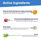 Superior Source No Shot Vitamin B-12 Methylcobalamin 1000 mcg, B-6 & Folic Acid 800 mcg - Supports Brain & Heart Health - Aids Natural Energy Levels - 60 Sublingual Dissolving Tablets