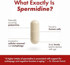 STONERA Spermidine Supplement, Cellular Renewal & Longevity Support - Optimized High Purity, 10mg per Serving, 120 Capsules Third-Party Tested