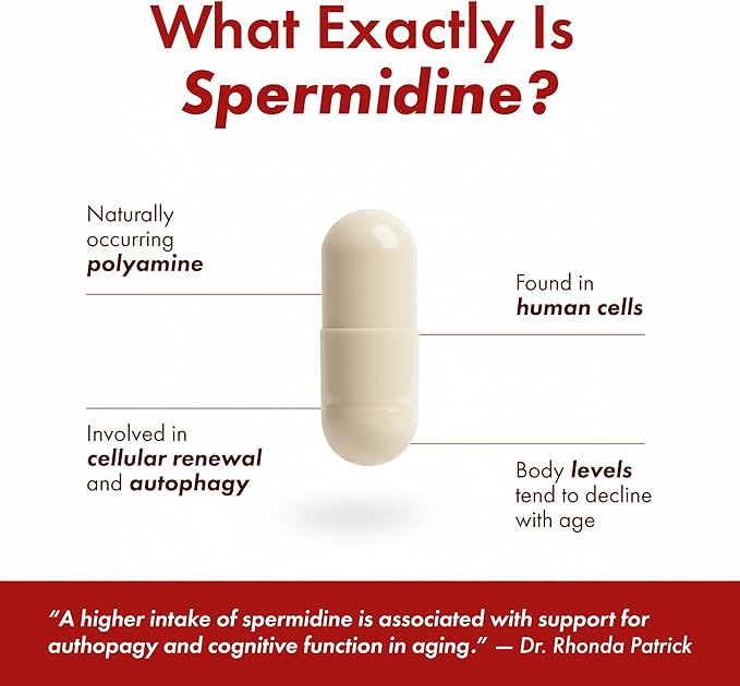 STONERA Spermidine Supplement, Cellular Renewal & Longevity Support - Optimized High Purity, 10mg per Serving, 120 Capsules Third-Party Tested