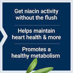 Life Extension No Flush Niacin,B3 for Heart Health,Cholesterol & Energy Support,Non-GMO,Gluten-Free,100 Capsules,(Pack of 2)