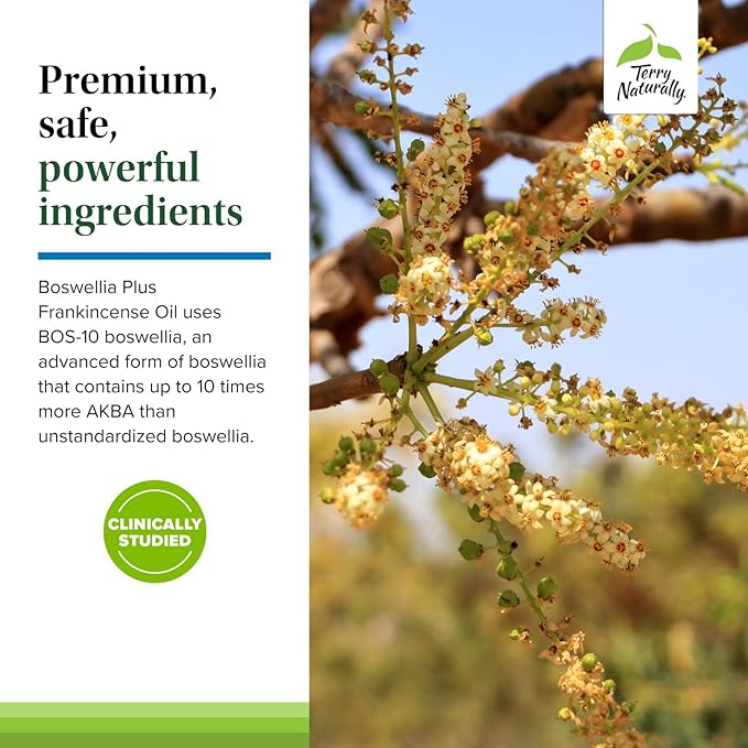 Terry Naturally Boswellia Plus Frankincense Oil - Joint Support Supplement to Support Mobility & Joint Comfort - Support Cellular Health with Boswellia & Frankincense Oil - 60 Softgels