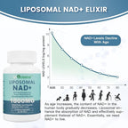inGreens Liposomal NAD+ Supplement 1800 mg with Nicotinamide Riboside, Trans-Resveratrol & Trimethylglycine – NAD+ Nutrient Support Formula, High-Potency Liposomal Softgels, 120 Count
