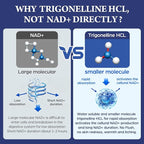 NMNH Strengthen Alternative with Trigonelline HCL 500mg & Resveratrol 100mg | NAD Supplement for Women & Men | Plant Extraction NAD+ Precursors for Energy Boost & Healthy Aging | 180 Capsules