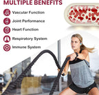 200 mg Pycnogeno with PQQ, Premium French Maritime Pine Bark Extract, Unique Dual-Delivery for Maximum Absorption, Pine Bark Extract for Vascular & Heart & Joint Function - 60 Vegan Softgels