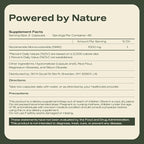 NMN Supplement 1000mg 99% Pure Organic – Cellular Energy & Healthy Aging Support – GMP Certified, Third-Party Tested – 90 Capsules, 45-Day Supply