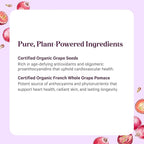Pure Synergy SuperPure Grape Seed Extract | Organic Grape Seed Polyphenols Supplement with Whole Fruit | for Heart Health, Skin, and Healthy Aging Support (60 Capsules)
