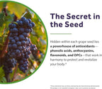 Doctor's Recipes Grape Seed Extract, 500 mg Standardized Extract with 95% Proanthocyanidins, Non-GMO, Antioxidant Support, Heart, Immune & Skin Health, 60 Veg Caps