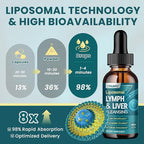 2PCS Liposomal Lymphatic Drainage Drops - 21 in 1 Liver Cleanse Detox & Repair with Milk Thistle, Echinacea, Burdock Root, Liposomal Glutathione, Vitamin Complex ''Lymph-Liver'' Gut & Metabolic Health