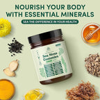 Natural Rems Sea Moss Gummies 16-in-1 - Ashwagandha Black Seed Oil Bladder Wrack Turmeric Vitamin C & D3 with Manuka Burdock Root Dandelion Yellow Dock Elderberry Apple Cider Vinegar (Green Apple)