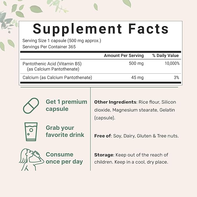 Pantothenic Acid Vitamin B5 Supplement, Vitamin B5 500mg Per Count, 365 Capsules (1 Year Supply), B-Complex Vitamin, Support Energy Production and Nervous System, Non-GMO