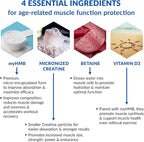 BioTrust Ageless Muscle Builder - Creatine HMB Powder with Vitamin D3 & Betaine - Build & Preserve Naturally Declining Muscle Mass & Strength - Fruit Punch, 30 Servings