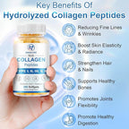 Multi Collagen Peptides for Women & Men, Hydrolyzed Collagen Peptides-Type I, II, III, V, X - with Hyaluronic Acid,Vitamin C,Biotin,Supports Skin Hair Nail, Non-GMO, 280 Softgels