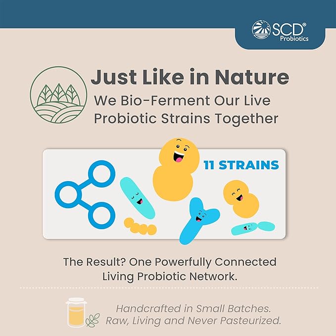 SCD Probiotics SCD Essential Probiotics for Women, Men, Kids and Toddlers, Live Probiotic for Digestion and Immunity, Gut Health Liquid Probiotic Supplement with 11 Strains – 16.3 fl oz (3 Pack)