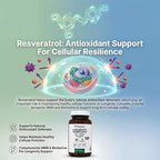 PRISTINE'S Longevity Complete Anti Aging NMN Complex - Advanced Cellular Support - NMN 500mg, Berberine 500mg, Resveratrol 250mg, Healthy Aging, Autophagy & NAD+ Support - Glass Bottle