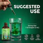Mullein Drops for Lungs Liquid Chlorophyll Mullein Leaf Extract Supplement Elderberry Sea Moss Spirulina Chlorella Lobelia Marigold Licorice Marshmallow Lung Detox Cleanse Tincture Men Women 2 fl oz