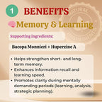Sun Vitals Core Mind – Nootropic Brain Supplement for Focus, Memory & Mental Clarity | DMAE, Bacopa Monnieri, Phosphatidylserine & Huperzine A | Non-Stimulant, Caffeine-Free | 60 Capsules