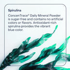 Trace Minerals ConcenTrace Daily Mineral Powder - Supports Energy, Digestion, Bone Health - 70+ Multiminerals Supplement with Ionic Magnesium, Chloride, & Potassium, Sugar-Free (60 Servings)