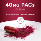 Urinary Tract Defense with Cranberry PAC, D-Mannose, Probiotics & Vitamins | UTI Avoidance & Bladder Support Supplement | Most Powerful Cranberry Pills for Women & Men | USA Manufactured | 60 Capsules