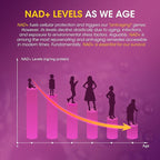 NAD Resveratrol Gummies, NAD Supplements for Women with Hydrolyzed Collagen, Grape Seed, and D-Biotin Support Antioxidant Action, Anti-Aging, Cell Regeneration & Energy, Sugar-Free, 60 Gummies