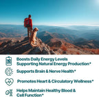 Plus B 11-in-1 Beadlet Capsule – Complete B-Complex with B1, B2, B3, B5, B6, B7, B9, B12 – Timed Release for Energy, Vitality, Brain, Heart, Immune, Mood, & Overall Wellness