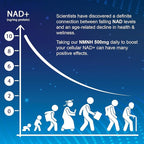 NMNH (Dihydronicotinamide Mononucleotide), NAD Supplement to Boost NAD+ Levels as We Age (May Be More Effective Than Nicotinamide Riboside) - 240 Count (240 Servings)