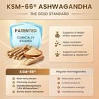 10-IN-1 Cortisol Supplements w/ KSM-66® Ashwagandha 300mg + L-Theanine 250mg, Magnesium Glycinate, Saffron, Phosphatidylserine, Turmeric & Vitamin C D3 B6 B5, For Women Men, 120 Capsules 60-Day Supply