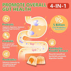 Probiotic Kombucha Gummies Sugar Free Prebiotic Postbiotic Probiotics Gummy for Women and Men Bloating Gut Health Immune and Digestive Support - 60 Gummies - 30 Servings