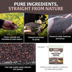 HANDPICK Culinary Black Mustard Seeds (397g/14oz), Gluten free, 100% Raw, Sourced from India, Packed in Resealable Zip Lock Pouch | All Natural - Easy to Use