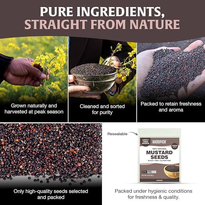 HANDPICK Culinary Black Mustard Seeds (397g/14oz), Gluten free, 100% Raw, Sourced from India, Packed in Resealable Zip Lock Pouch | All Natural - Easy to Use