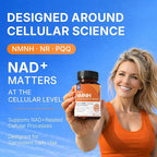 Sunshine & Rain Steady Energy Without Caffeine Crashes – Liposomal NMNH + NR + PQQ NAD⁺ Support Capsules for Cellular Energy, Focus & Healthy Aging | 120 Capsules