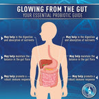 Purely Optimal Probiotics for Digestive Health, 60 Billion CFU – Delayed-Release with Digestive Enzymes & Organic Prebiotics – Bloating, Immune & Energy Support, 30 Caps
