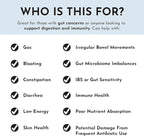 JUST INGREDIENTS Probiotic Complex - 60 Capsules, 5 Billion CFU, Prebiotics, Gut Health Support